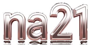 na 21 logo