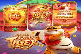 na 21 Live Casino